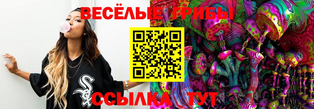 Галлюциногенные грибы Psilocybe  Вход с VPN  Пенза 